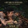 Wildcat: A Sky Like I've Never Seen (Single)