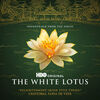 The White Lotus: Enlightenment (Main Title Theme) (Single)