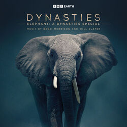 Elephant: A Dynasties Special