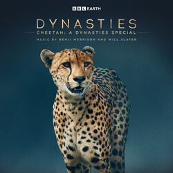 Cheetah: A Dynasties Special