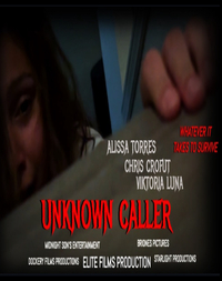 Unknown Caller