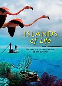 Islands of Life