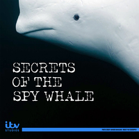 Secrets of the Spy Whale